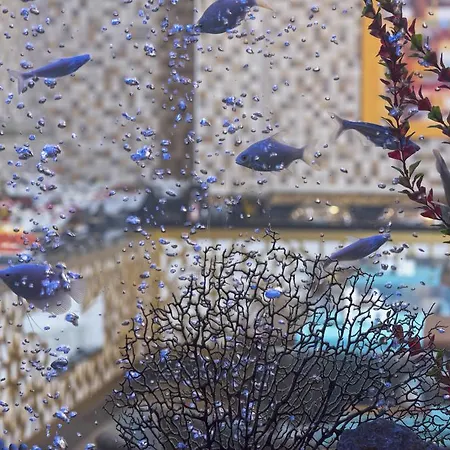 فندق Trend Park 3*